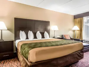 Quality Inn Asheville Airport