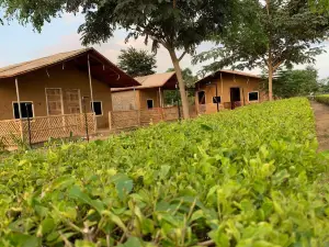 Rupani Dhani - Leisure retreat private farm house