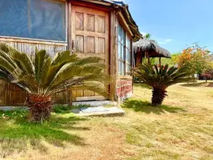 Kamala Surf & Backpacker Hostel