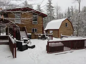Unique Rustic Ski-Tree House - Game room, Hot tub & Sauna