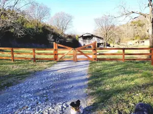 BirdDog Farm Cabin #3
