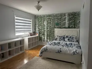 Modern house near Albion falls.