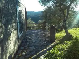 Casas Rurales Los Llanos