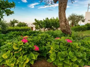 Baia Delphis Resort