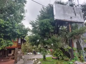 Mountain View Homestay