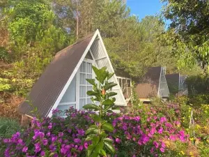 Tuyết Hoa Hòn Bồ Bungalow