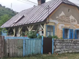 Gradina Geamiliei