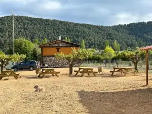 Casas Rurales la Trufa Madre Casa 3