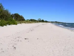 Mysigt Hus I Liten by nära Havet