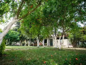 Agriturismo Archelao