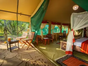 Mara Legends Camp