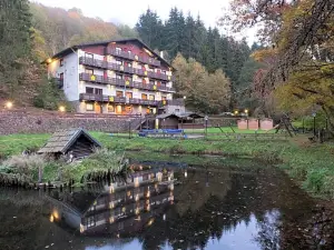 Wolffhotel