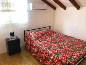 Jardin des Sucriers 2