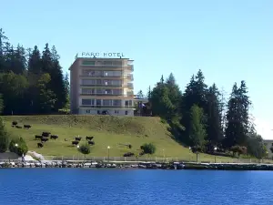 Grand Hôtel du Parc