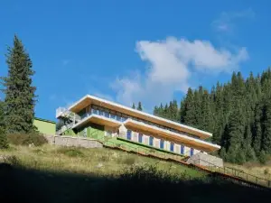 Pana Unique Kolsay