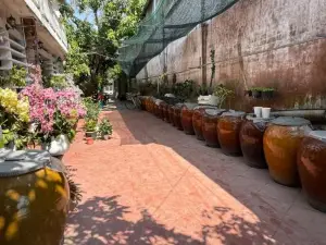 ISLAND HOMESTAY TIỀN GIANG