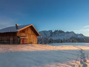 Hotel Adler Carezza