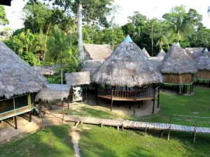 庫馬瑟巴亞馬遜旅館