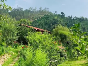 Itmenaan Estate in the Himalayas