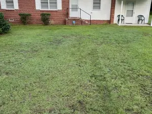 Great 3 Bd Brick Home with All the Essentials