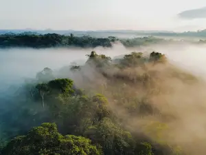 Retiro en la selva amazónica de Toucan Lodge