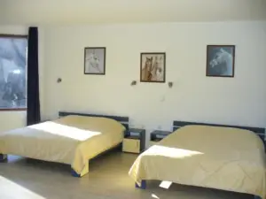 Guest House Alfa Daniel