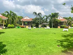 Reuan Chom Dao Resort