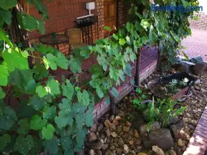 Ridderspoor Guesthouse