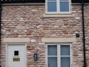 The Sheep and Penguin