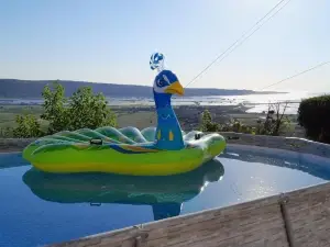 Apartments Milok