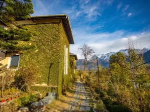 Seclude Palampur