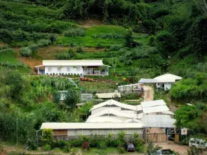 Moonriver Lodge