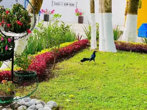 CASA DON BENI (A PET-FRIENDLY SPACE IN THE HEART OF XICOTEPEC)