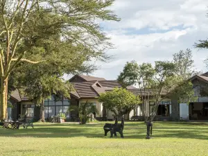 Sweetwaters Serena Camp
