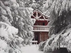 Sycamore Avenue Treehouses & Cottages Accommodation