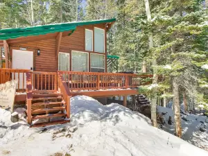 Idaho Springs Cabin w/ Hot Tub on Half Acre!