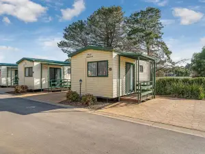 Big4 Tasman Holiday Parks - Bendigo