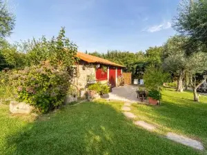 Casas Casal Do Carvalhal - Agroturismo