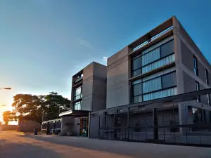 Arboleda 5