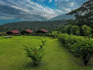 Arenal Roca Lodge