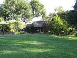 Rustic Cabin + Glamping Tent at Vineyard Retreat on Grand Island in Delta