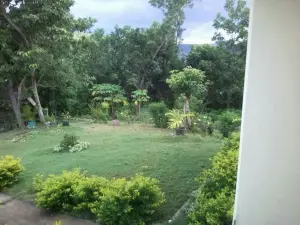Nici Island