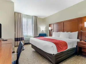 Comfort Inn & Suites Salina North