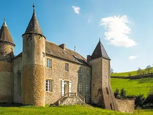 Chateau de Sainte Colombe Sur Gand