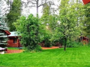 Silverwolf Log Chalet Resort