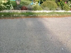 Agroturystyka Leśna Ostoja Borek