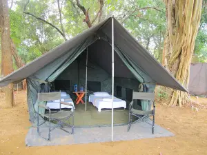 Ruhunu Safari Camping - Udawalawe
