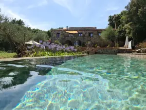 Le Mas des Colombes Chambres d'hôtes B&B & Spa