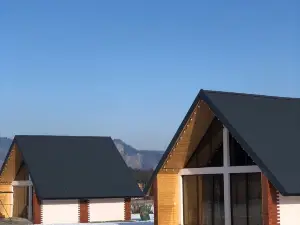 Borjomi Inn