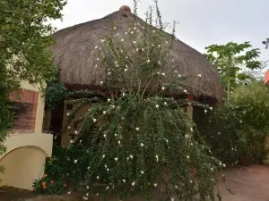 Chez Sabine